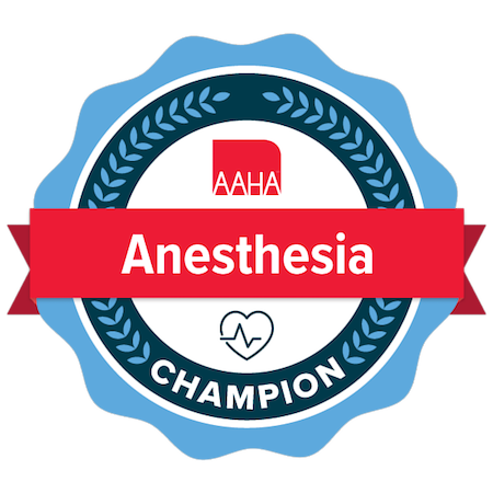 aaha-anesthesia-safety-and-monitoring-certificate